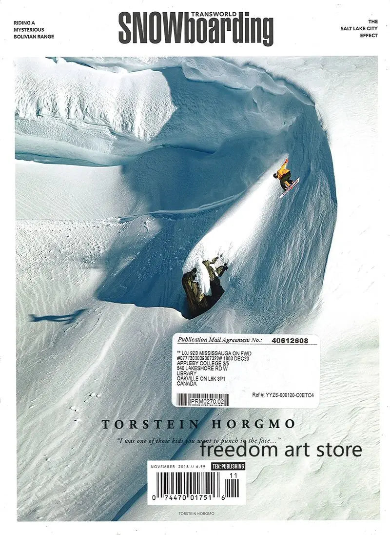 Affiche ski vintage - Style 15